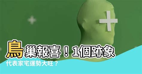 有鳥在家築巢|【家裡有鳥築巢】鳥巢報喜！1個跡象代表家宅運勢大。